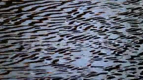 水波在湖水上视频的预览图