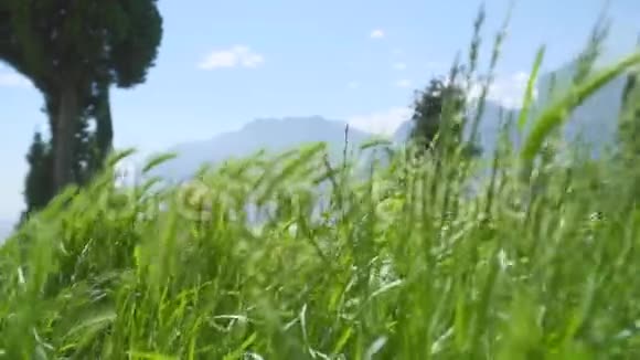 嘉达湖景视频的预览图
