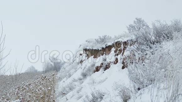 沼泽的悬崖峡谷底部芦苇冬天的雪自然景观视频的预览图
