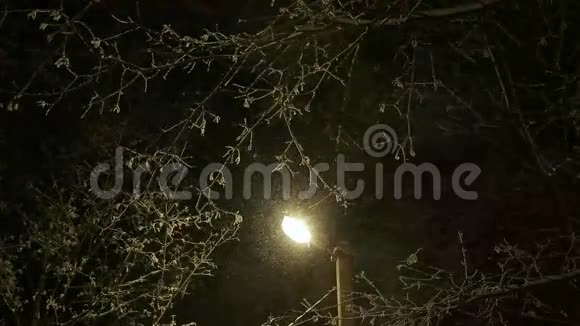 冬天傍晚有灯笼的街柱视频的预览图