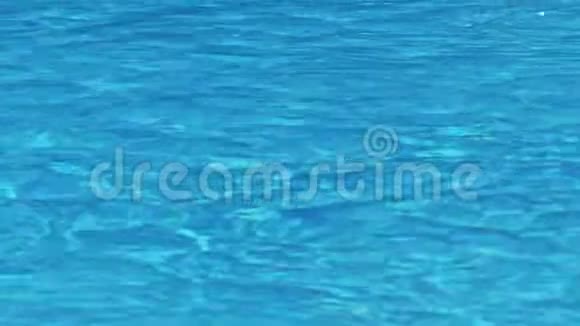 蓝色游泳池的表面视频的预览图