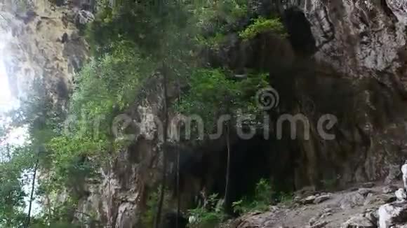 攀登的绳索固定在丛林悬崖上视频的预览图