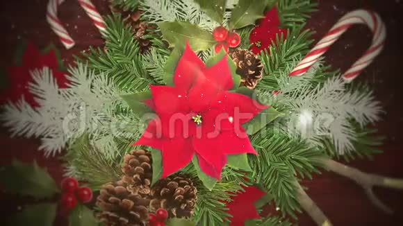 动画特写白色雪花在糖果和绿色圣诞树枝木材背景视频的预览图