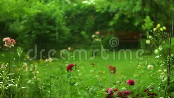 有声音的花园里的夏雨视频的预览图