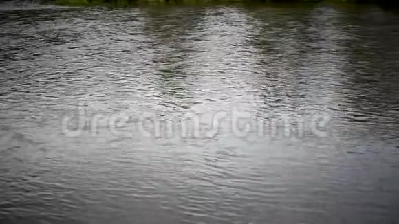 绿树缓流的河流视频的预览图