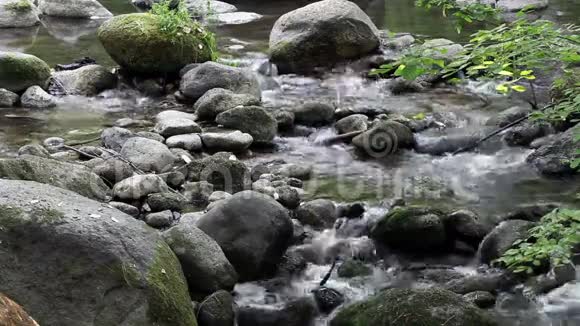 小溪流过岩石的密集镜头视频的预览图