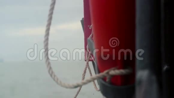 旅行者缅因州猫在笼子里漂浮在海中的一艘船上3840x21604k视频的预览图