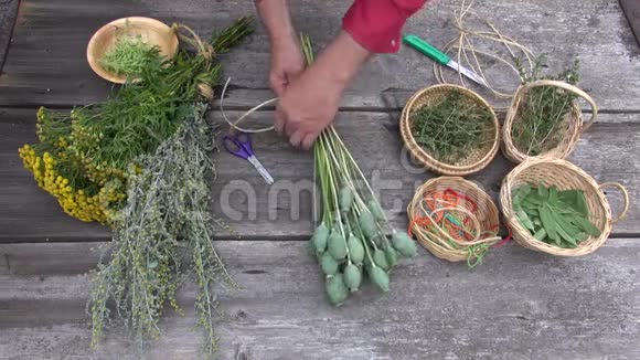 准备干燥医疗和香料草药的手视频的预览图