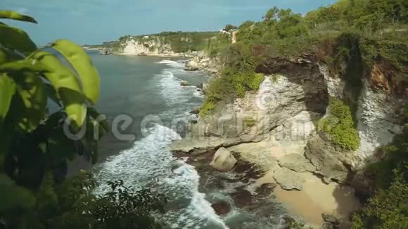 巴厘岛海岸悬崖被灌木丛覆盖视频的预览图