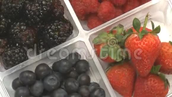 蓝莓草莓黑莓3视频的预览图