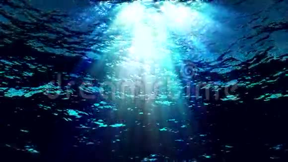 水下滤光器向下过滤视频的预览图