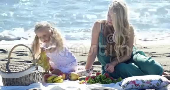 妈妈和女儿在野餐视频的预览图