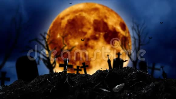 在墓地上十字架和月亮的轮廓视频的预览图