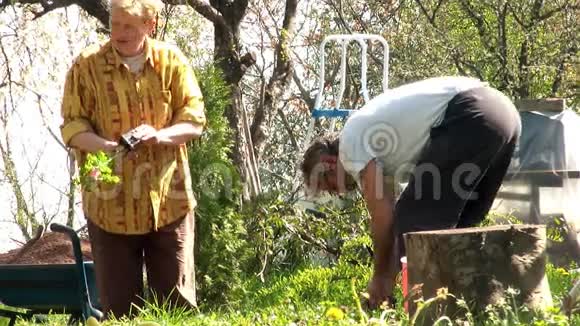 在自家后院做园艺的老夫妇视频的预览图