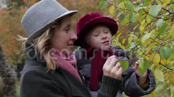 妈妈和女儿在公园里玩妈妈在树上展示女儿的叶子环境研究视频的预览图