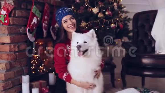 小女孩带着狗在圣诞树附近撒莫伊德视频的预览图