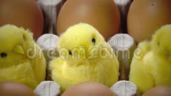 玩具鸡在一个明亮的复活节彩蛋壳里躺在纸板支架上视频的预览图