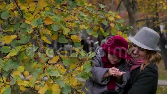 妈妈和女儿在公园里玩妈妈在树上展示女儿的叶子环境研究视频的预览图