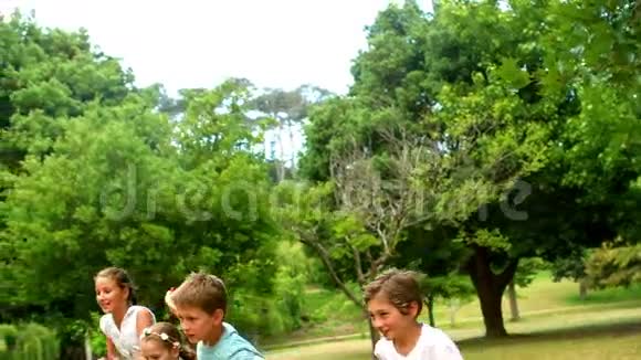 孩子们在公园玩风筝视频的预览图