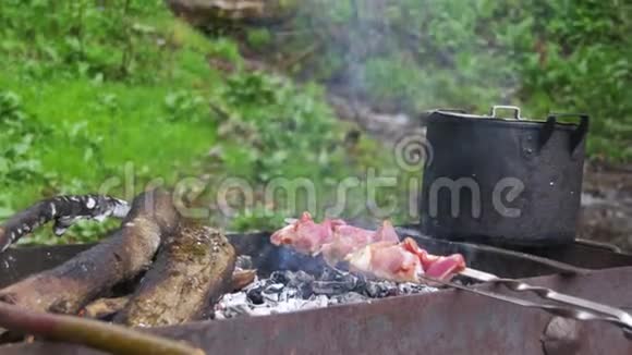 在森林里的烤架上烧烤串视频的预览图