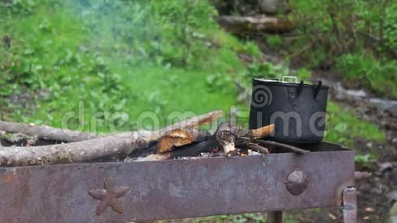 在森林里的烤架上烧烤串视频的预览图