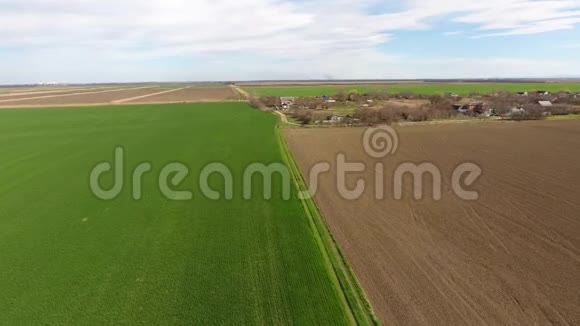 一片小玉米地玉米芽春天的田野种着绿色的玉米视频的预览图