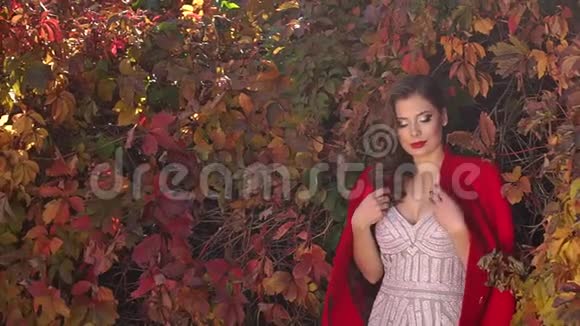 秋天公园里一个穿着连衣裙和一件红色外套的女孩的肖像视频的预览图