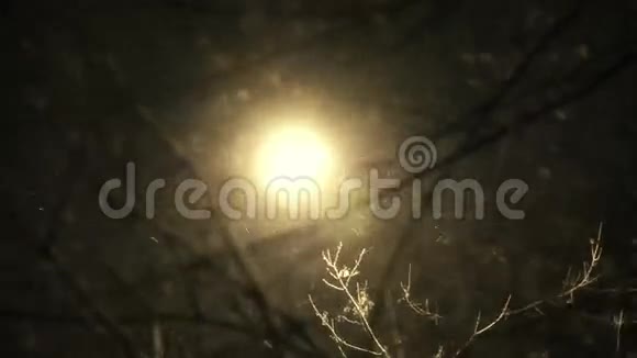 夜幕降临时城市的大雪视频的预览图