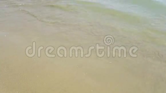水边海夏日海滩视频的预览图