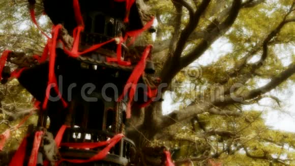 香炉和银杏树在风中纪念碑古董文化视频的预览图