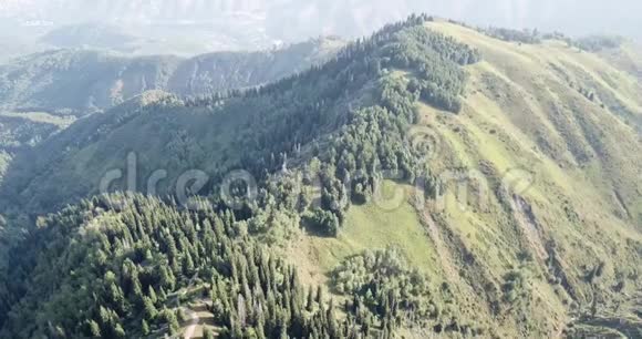 绿草如茵有冷杉和小径的山峦在山上驾驶无人机视频的预览图