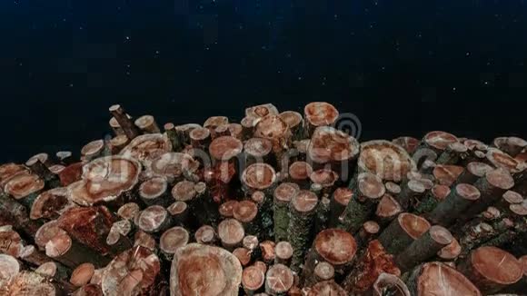 树干叠在夜空上视频的预览图