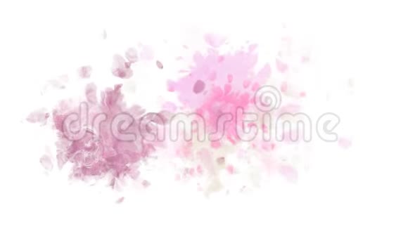 柔和的粉红色水彩动画视频的预览图