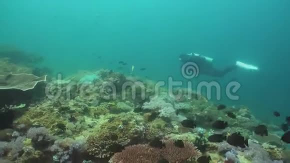 水下潜水器菲律宾明多罗视频的预览图