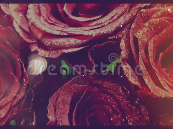 红色玫瑰花的金色薄片浪漫视频的预览图