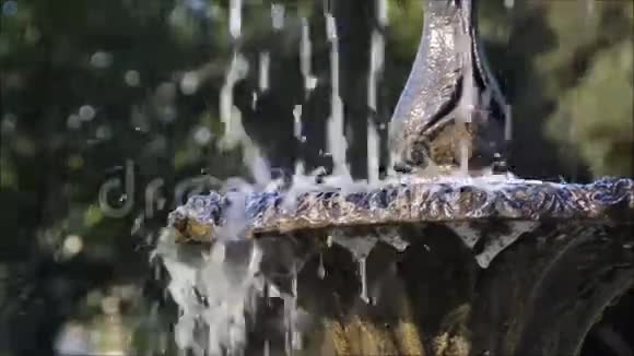 喷泉水体特征视频的预览图