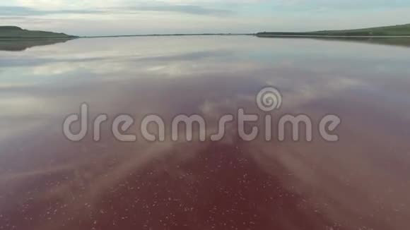 飞过一个粉红色的湖视频的预览图