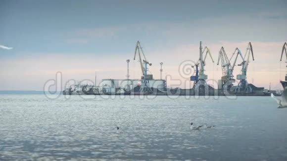 码头上的大型工业起重机视频的预览图