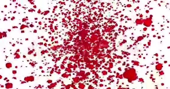 数码动画红色玫瑰花瓣在白色背景的漩涡中飞舞淡出环无缝视频的预览图