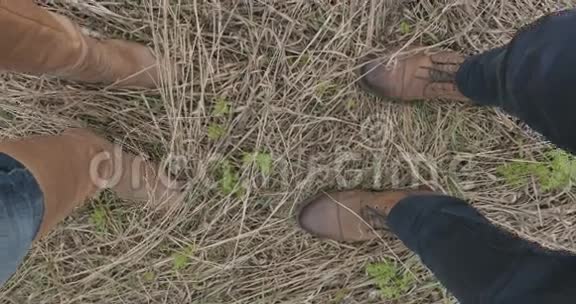穿着棕色鞋子的腿男人和女人在草地上行走视频的预览图
