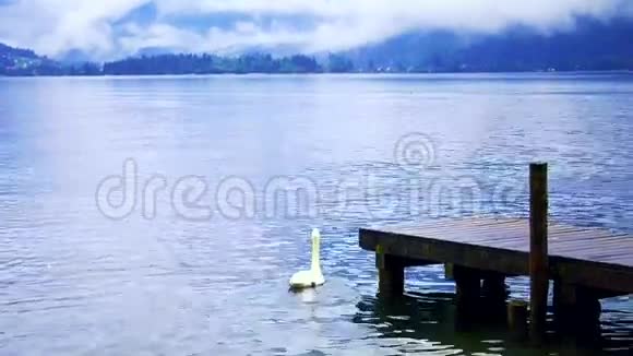 奥地利哈尔斯塔特美丽平静的多云湖有小港口和天鹅视频的预览图