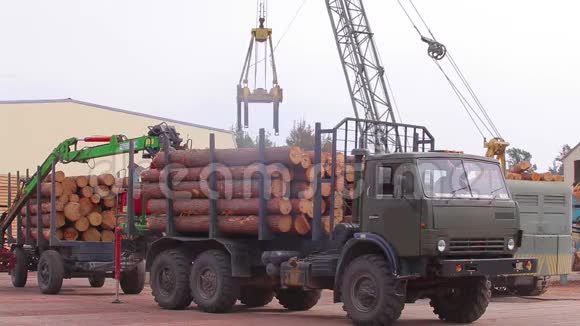 起重机从卡车上卸下原木林业起重机卸下原木视频的预览图