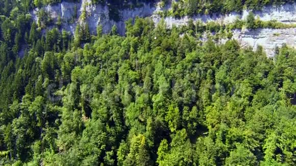 向上飞过森林和悬崖视频的预览图