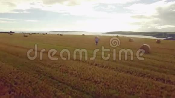 农民工作的无人机镜头视频的预览图