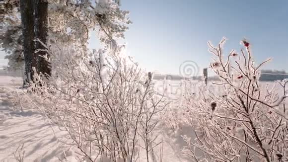 摄像机从左到右移动移除大田里的冰冻草视频的预览图
