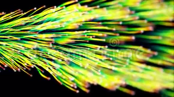 Bio网络电缆和以太网电缆视频的预览图