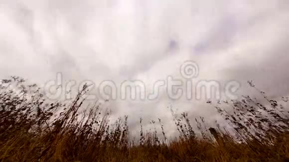 干草上的云镜头时间流逝4视频的预览图