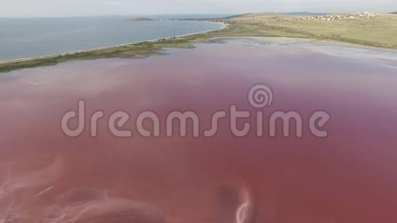 飞过一个粉红色的湖视频的预览图