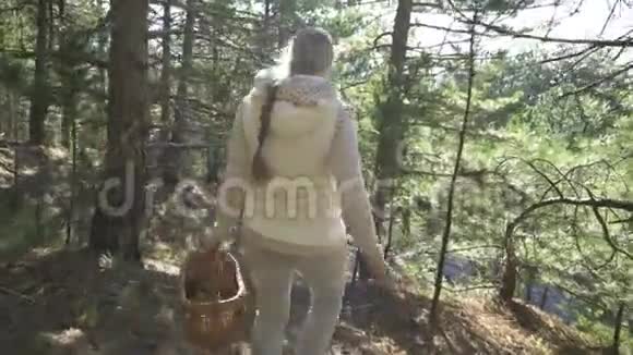 蘑菇女人在森林里采蘑菇视频的预览图