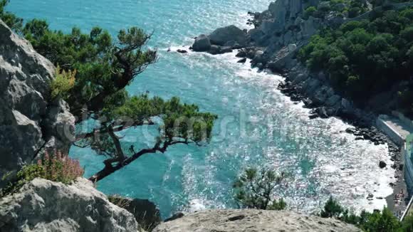 克里米亚山上的黑海湾和杜松树视频的预览图